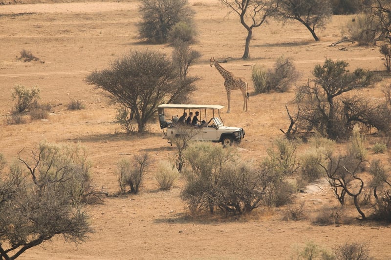Thrilling Safari Trips